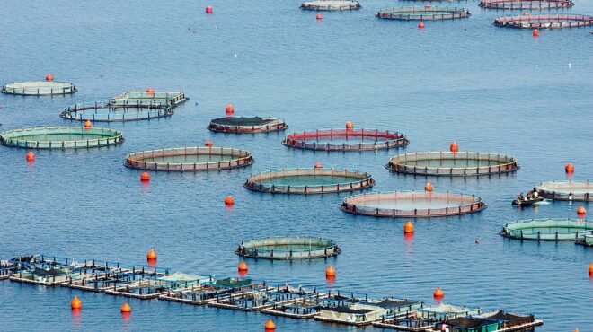 υδατοκαλλιέργειες-νέο-φρένο-στη-δημι-563760253