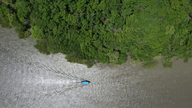 βραζιλία-μειώθηκε-κατά-65-η-έκταση-του-α-563773633