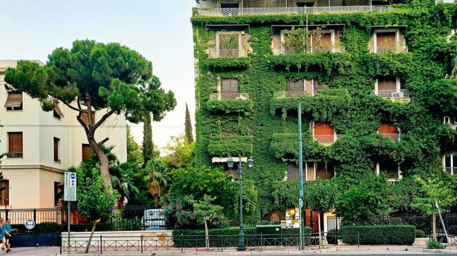 μια-πράσινη-βασιλίσσης-σοφίας-563746111