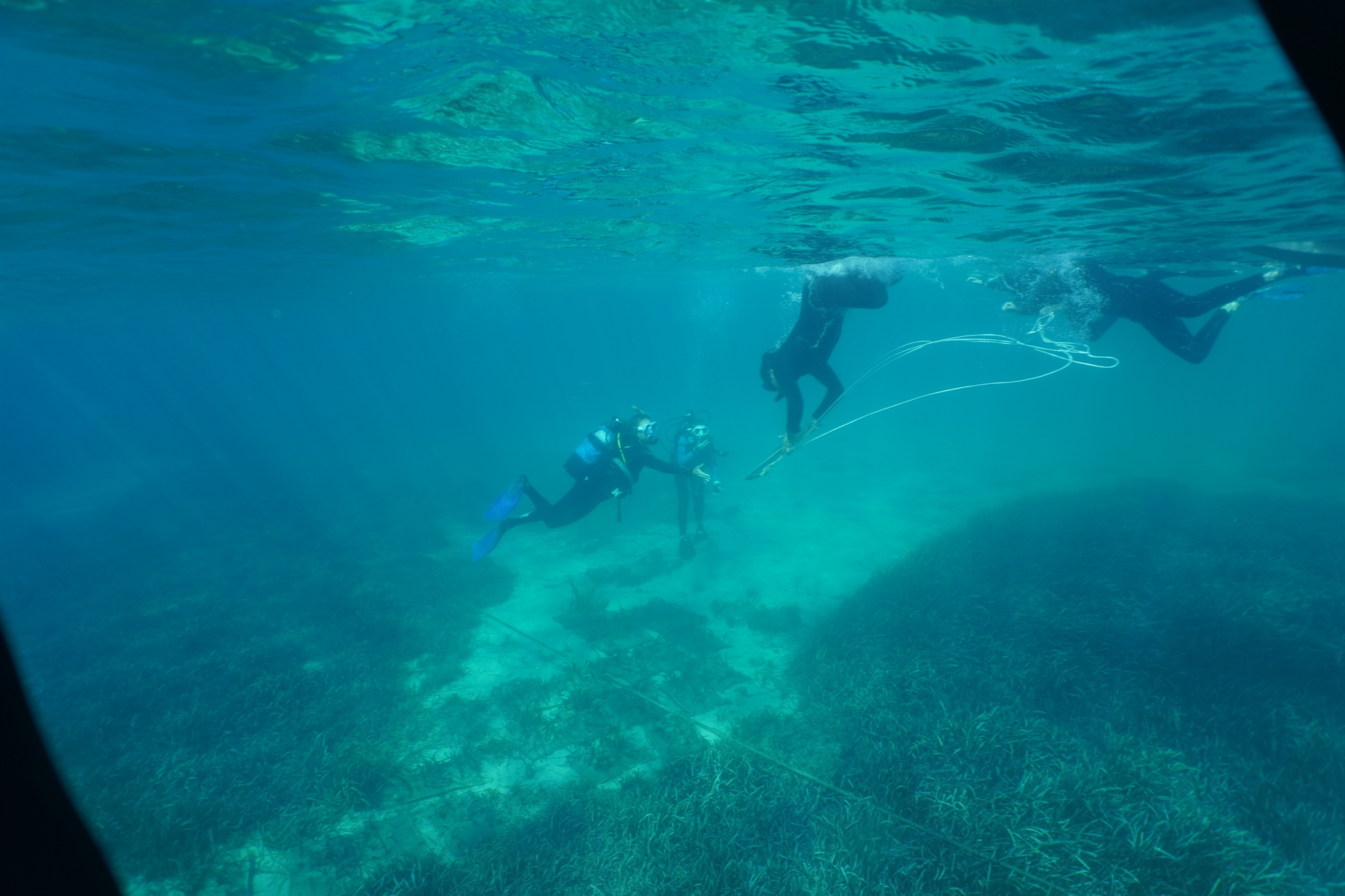 Φυτεύοντας υποβρύχιους κήπους στους Λειψούς-1