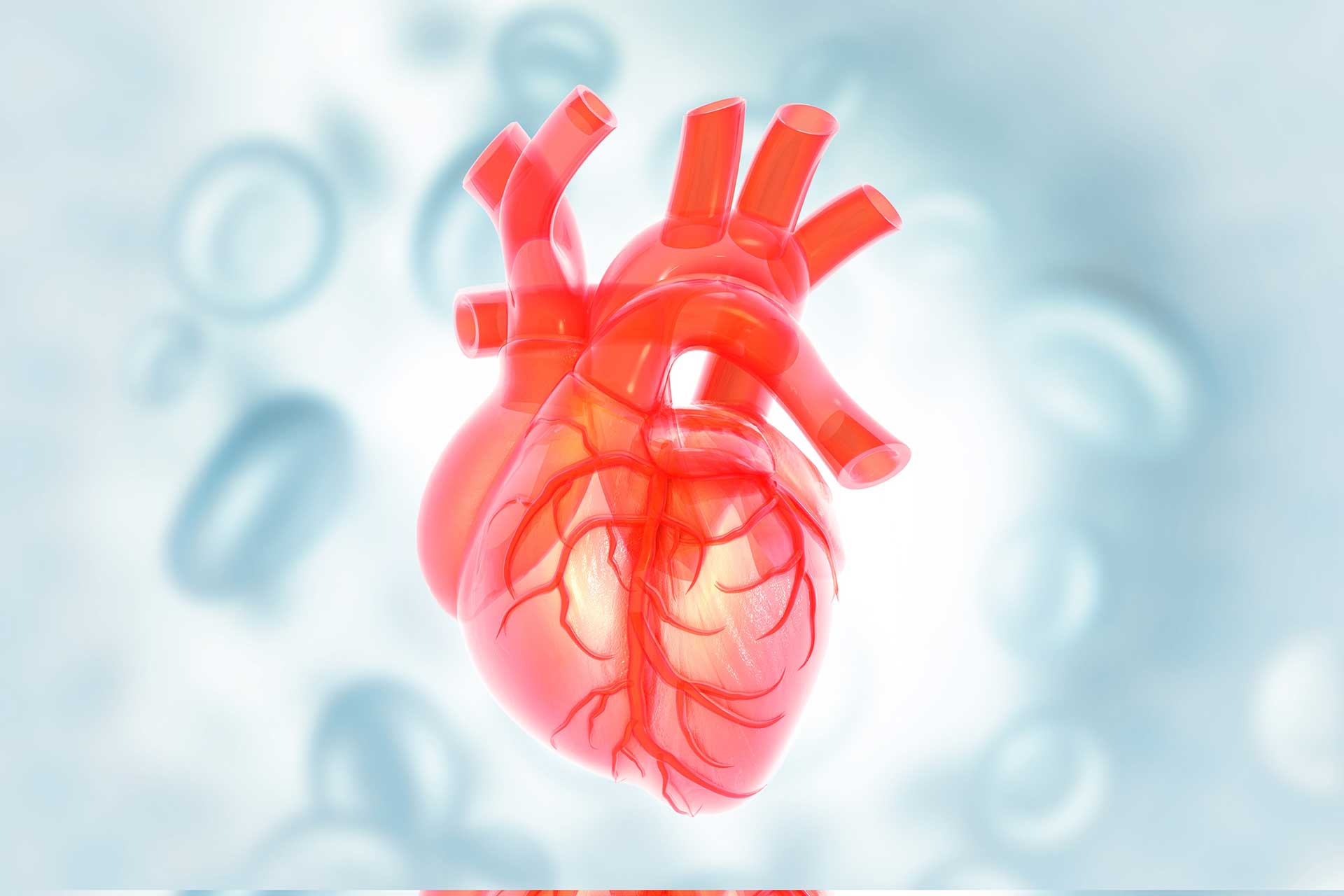 Οταν ο γιατρός χρειάζεται νέα καρδιακή βαλβίδα-2