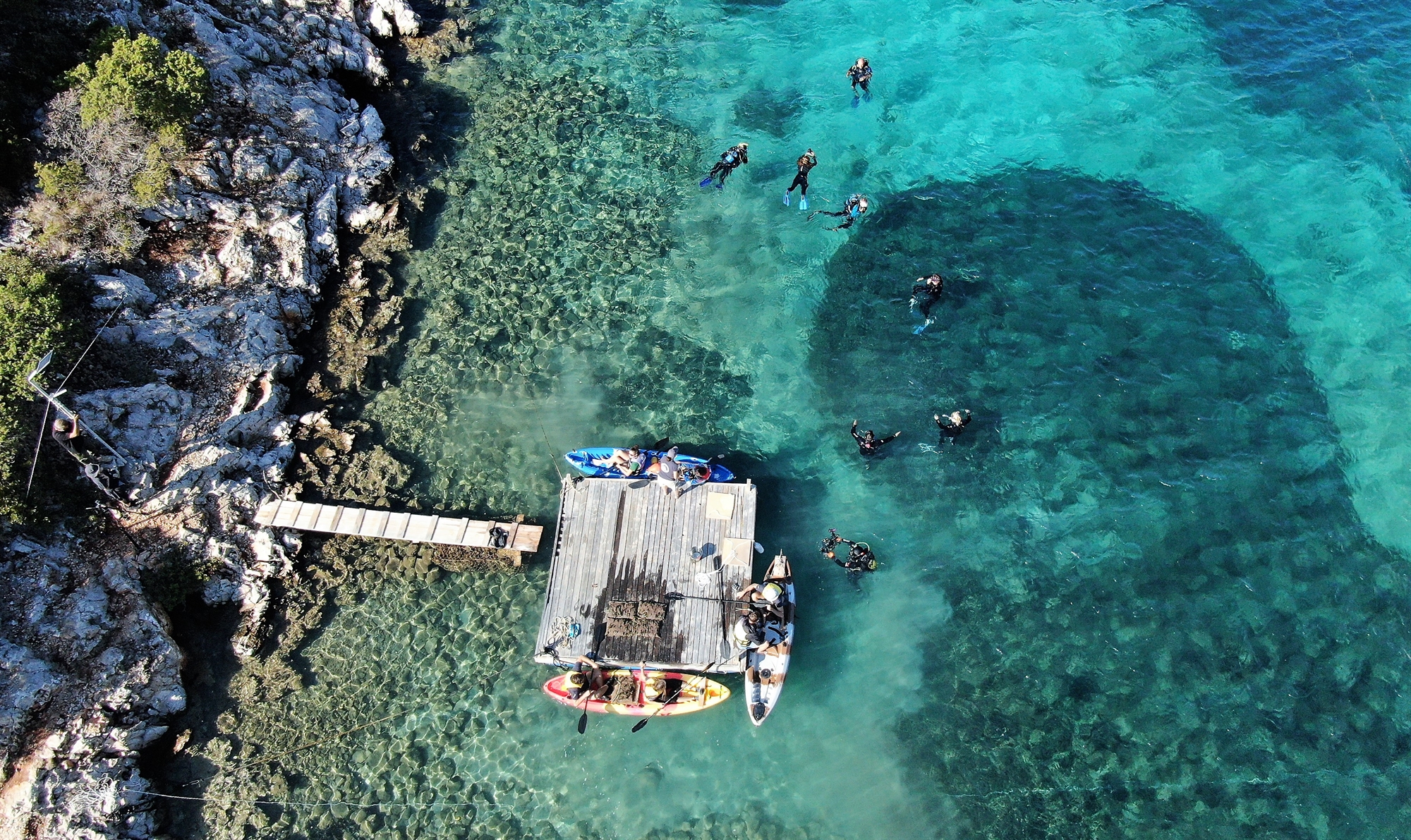 Φυτεύοντας υποβρύχιους κήπους στους Λειψούς-2