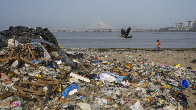 μερίδα-μικροπλαστικών-φτάνει-στο-π-563750491