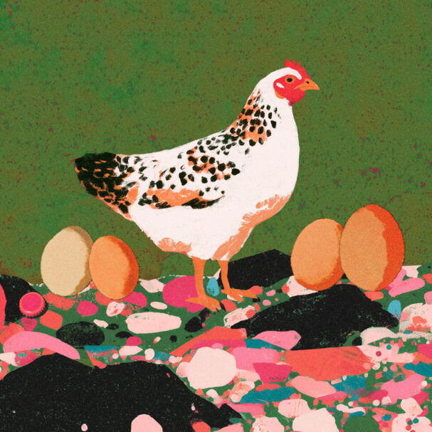 τα-παντοτινά-χημικά-στα-αυγά-και-η-αύ-563782690