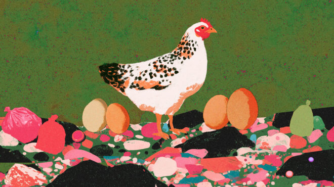 τα-παντοτινά-χημικά-στα-αυγά-και-η-αύ-563782690