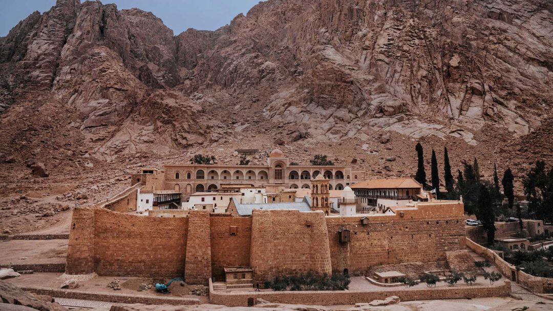 κούγκι-στην-έρημο-563789020