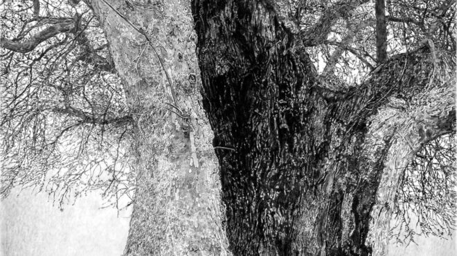 πού-βγαίνουμε-σήμερα-τετάρτη-προτάσε-563781922