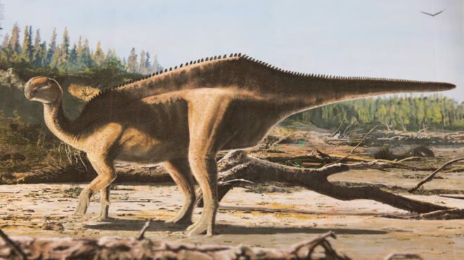 ενας-άγνωστος-δεινόσαυρος-κρυβόταν-563776198