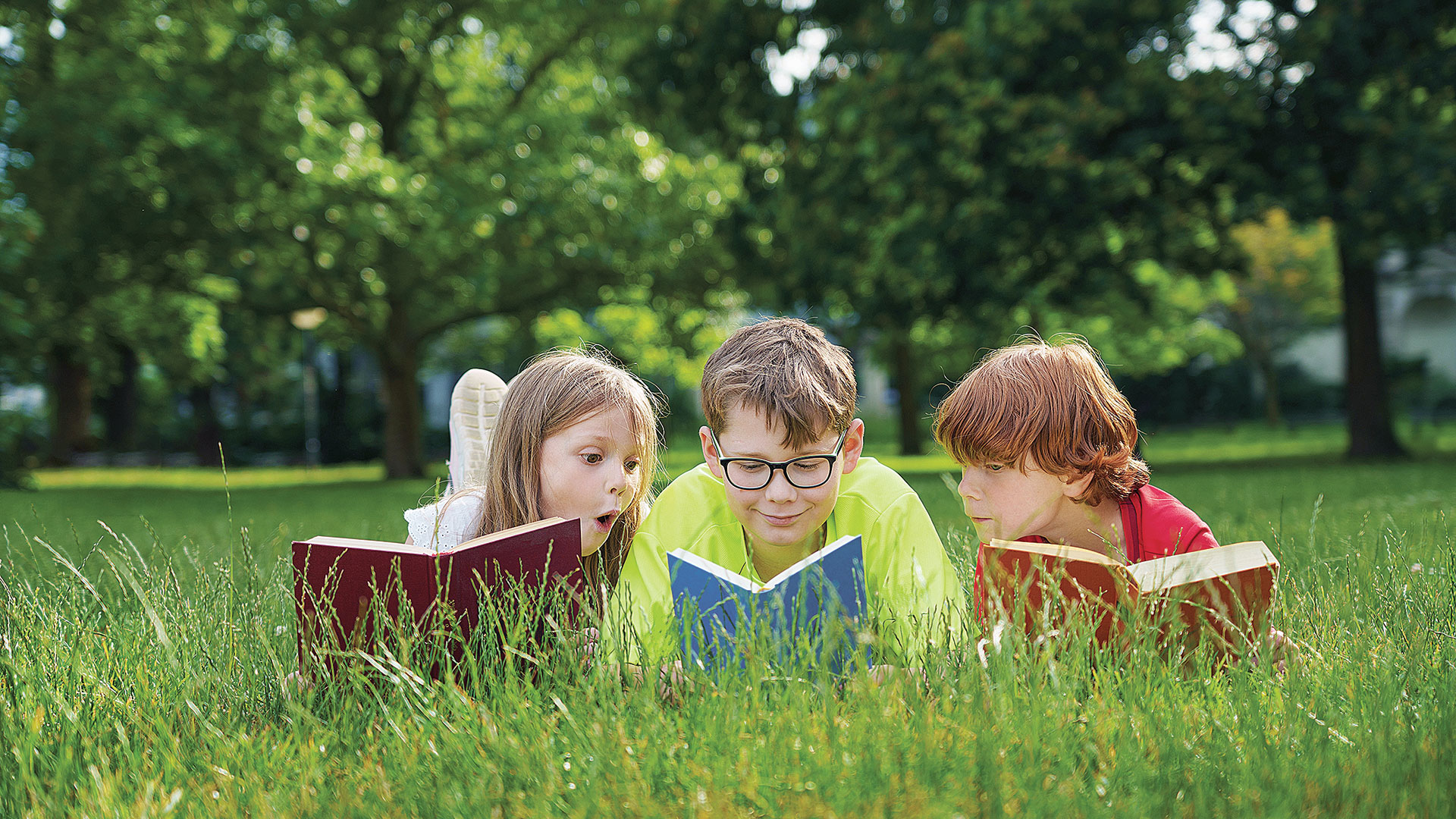 Το «αλφαβητάρι» του συνεπούς αναγνώστη, το «καρφί» του Σοπενάουερ και η προτροπή του Σεφέρη-1