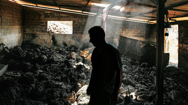 πρέπει-να-γίνουν-όλα-από-την-αρχή-563767174