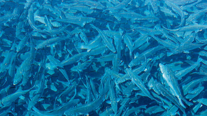 εμφύλιος-πόλεμος-στην-avramar-563784025