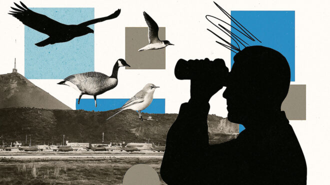 αναψυχή-με-το-βλέμμα-στη-βάση-της-σούδα-563785744