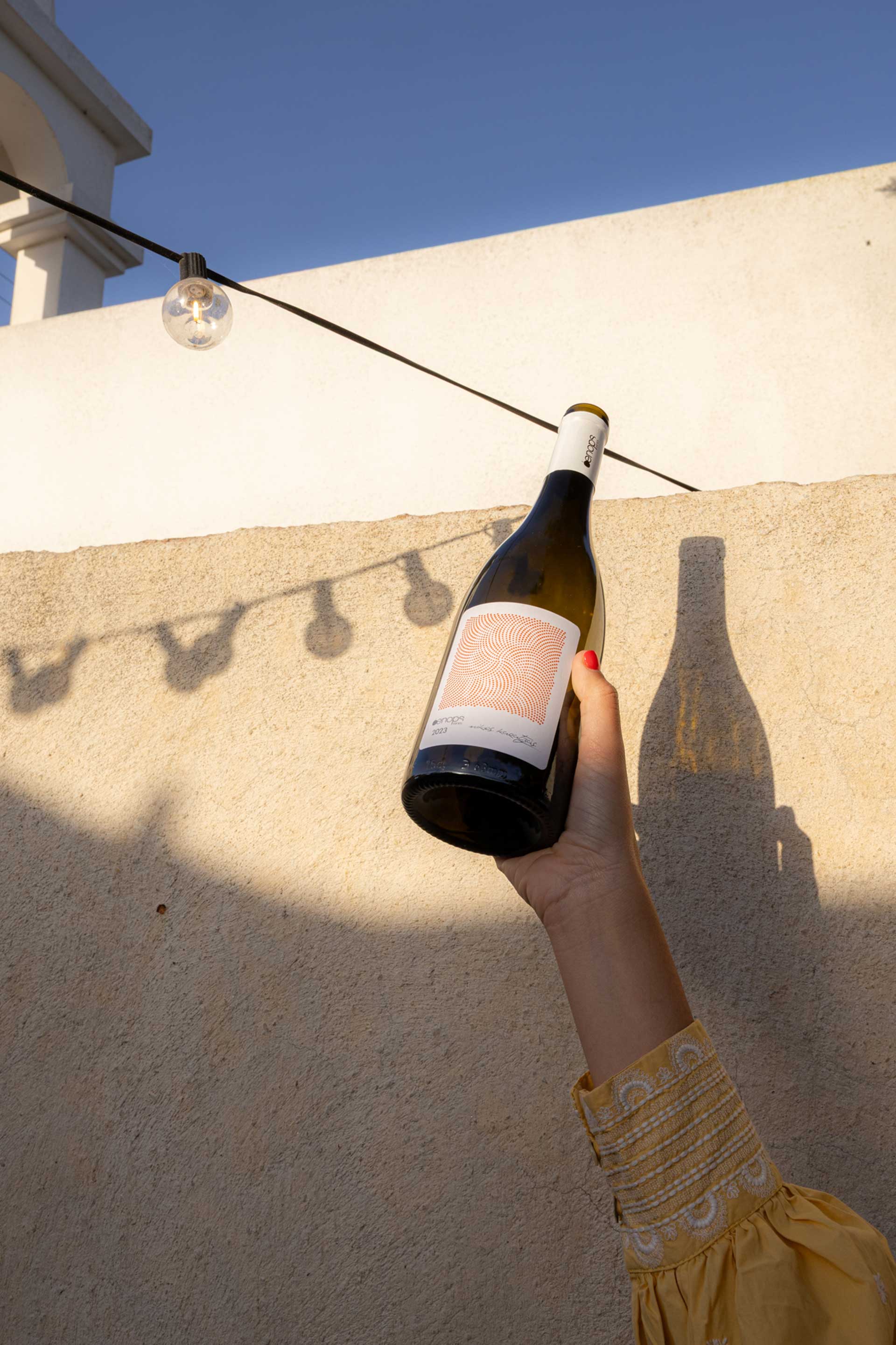 Κυδωνίτσα; Ποια κυδωνίτσα;-6