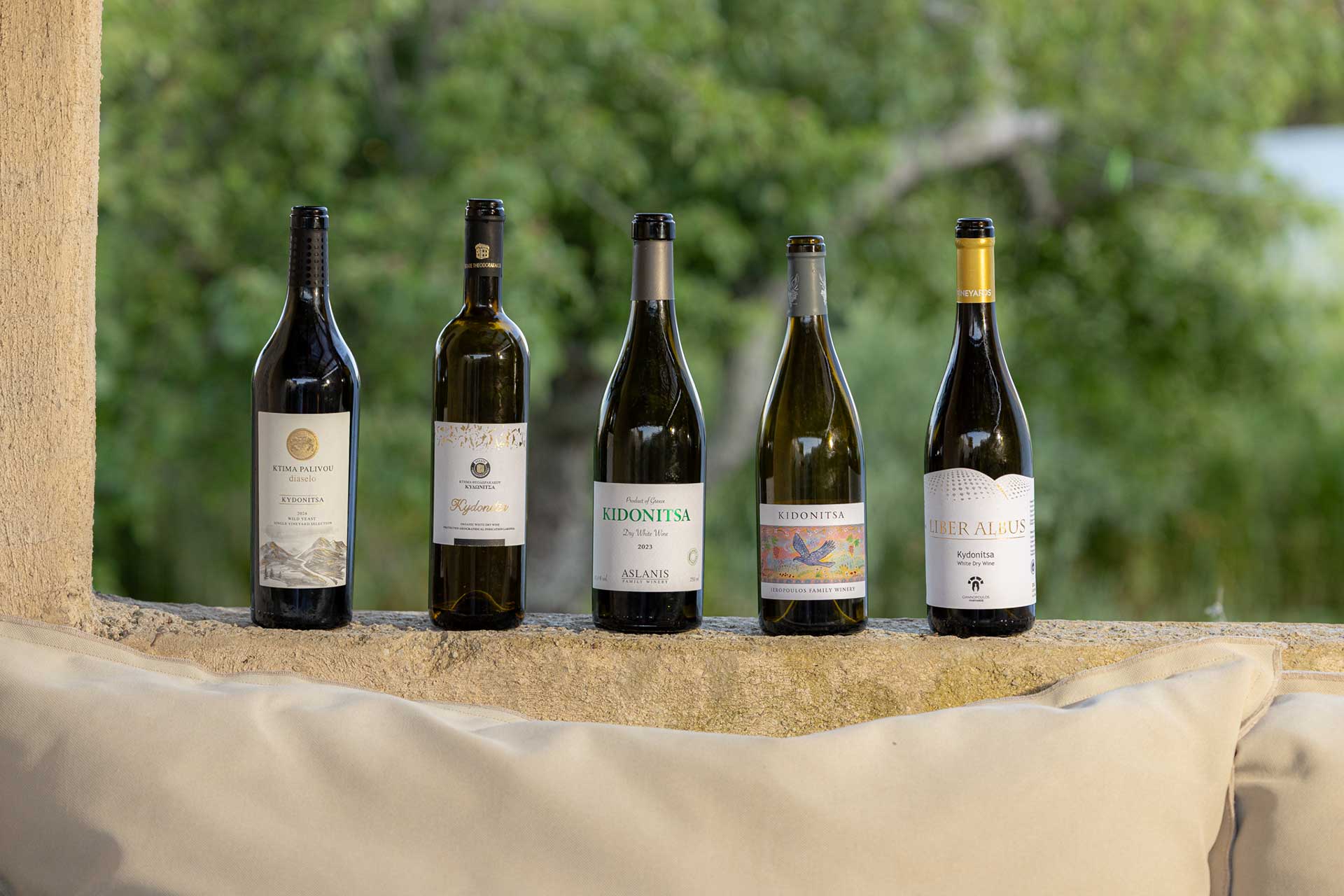 Κυδωνίτσα; Ποια κυδωνίτσα;-7