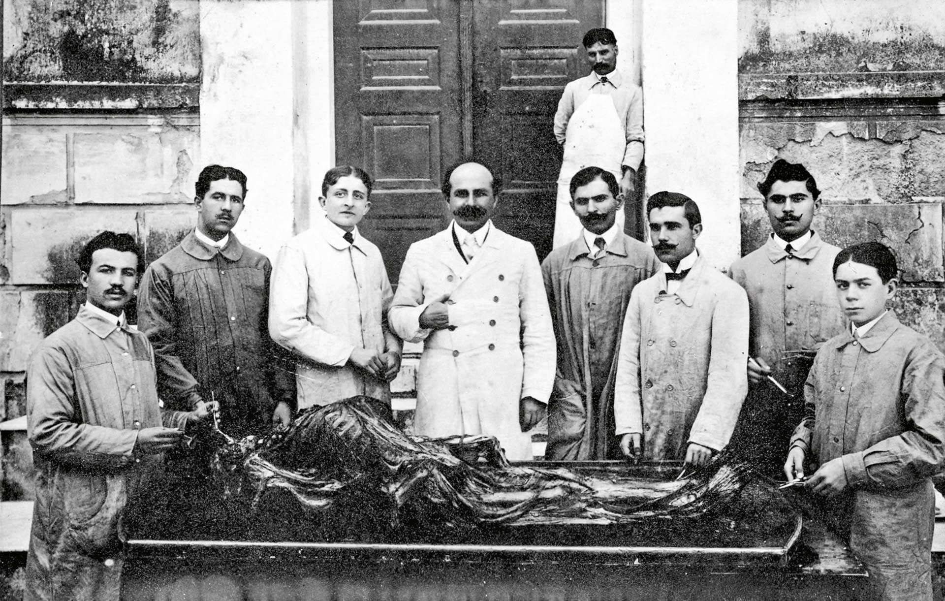 Πέτρος Σ. Κόκκαλης – Από την πρωτοπορία της Ιατρικής στις συμπληγάδες της πολιτικής-5