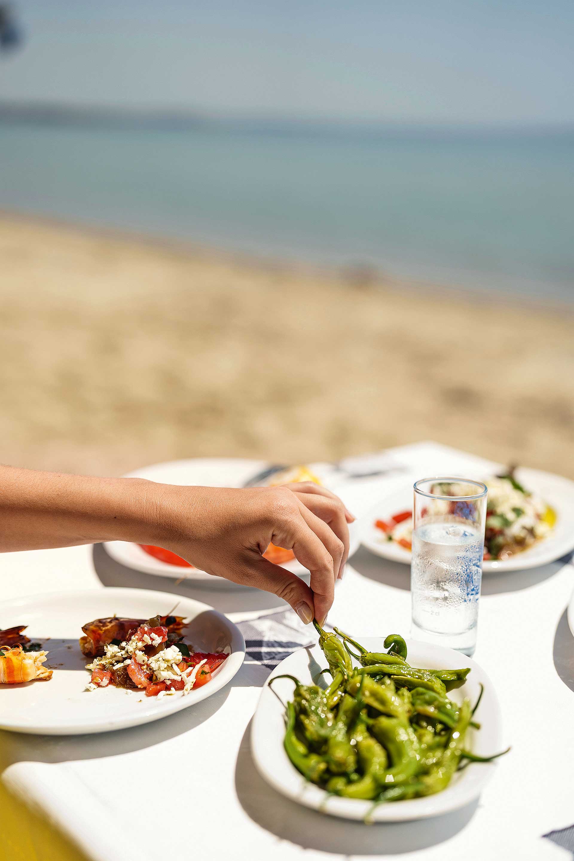Στην «Ιπανέμα» της Βόρειας Ελλάδας-8