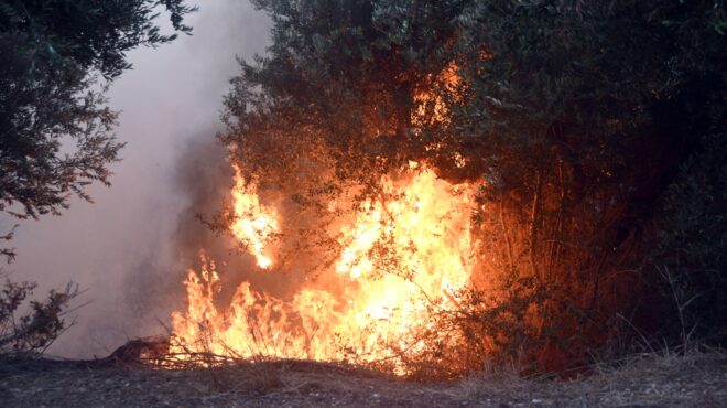 λέσβος-57χρονος-ομολόγησε-τέσσερις-εμπ-563770612