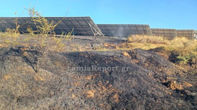 φωτιά-στον-αγιο-στέφανο-δομοκού-στη-563774014