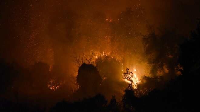 φωτιά-στη-σαλαμίνα-ηχησε-το-112-563782978