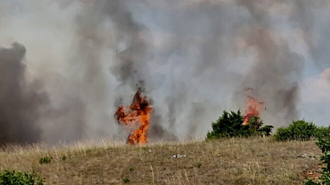 θεσσαλονίκη-συνελήφθη-55χρονος-καταζη-563770162