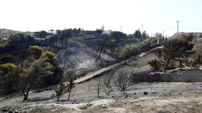 φωτιά-στην-ανατολική-αττική-στάχτη-χι-563757769