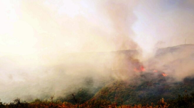 φωτιά-στη-νεάπολη-αγρινίου-στη-μάχη-κ-563758516