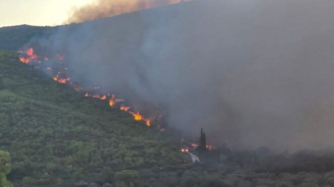 μεγάλα-πύρινα-μέτωπα-σε-βόνιτσα-και-ζά-563760256