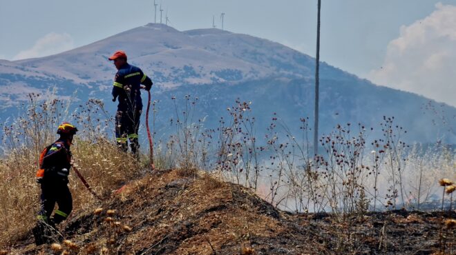 φωτιά-σε-τέσσερα-μέτωπα-στη-θάσο-στο-563752624