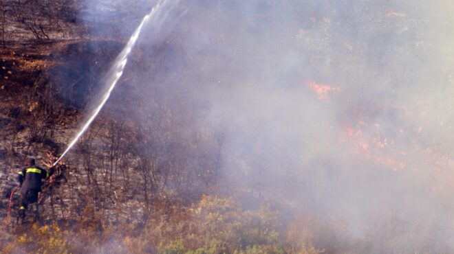 φωτιά-στον-γαλατά-αιτωλοακαρνανίας-563759290