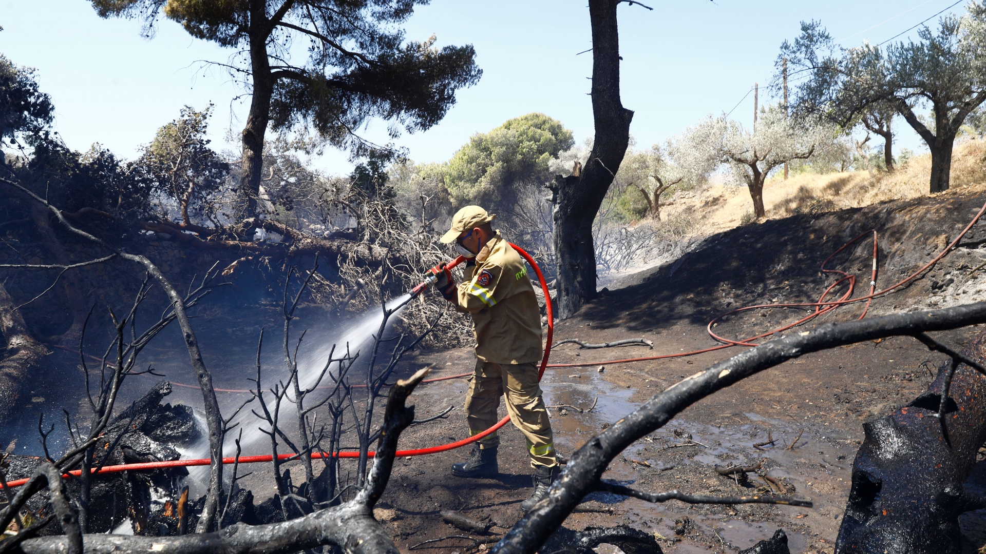 Φωτιά στην Ανατολική Αττική: Στάχτη χιλιάδες στρέμματα – Μάχη με τις αναζωπυρώσεις-3