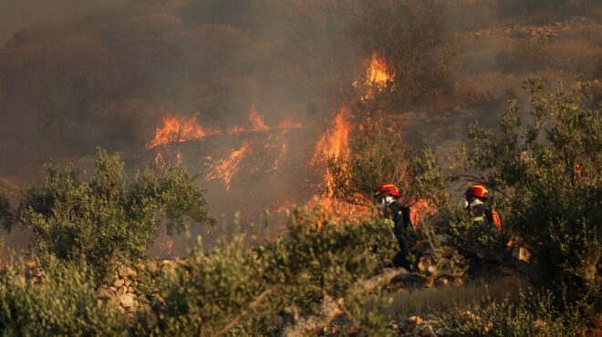 φωτιά-στο-πόρτο-λάγος-της-ξάνθης-επιχ-563752687