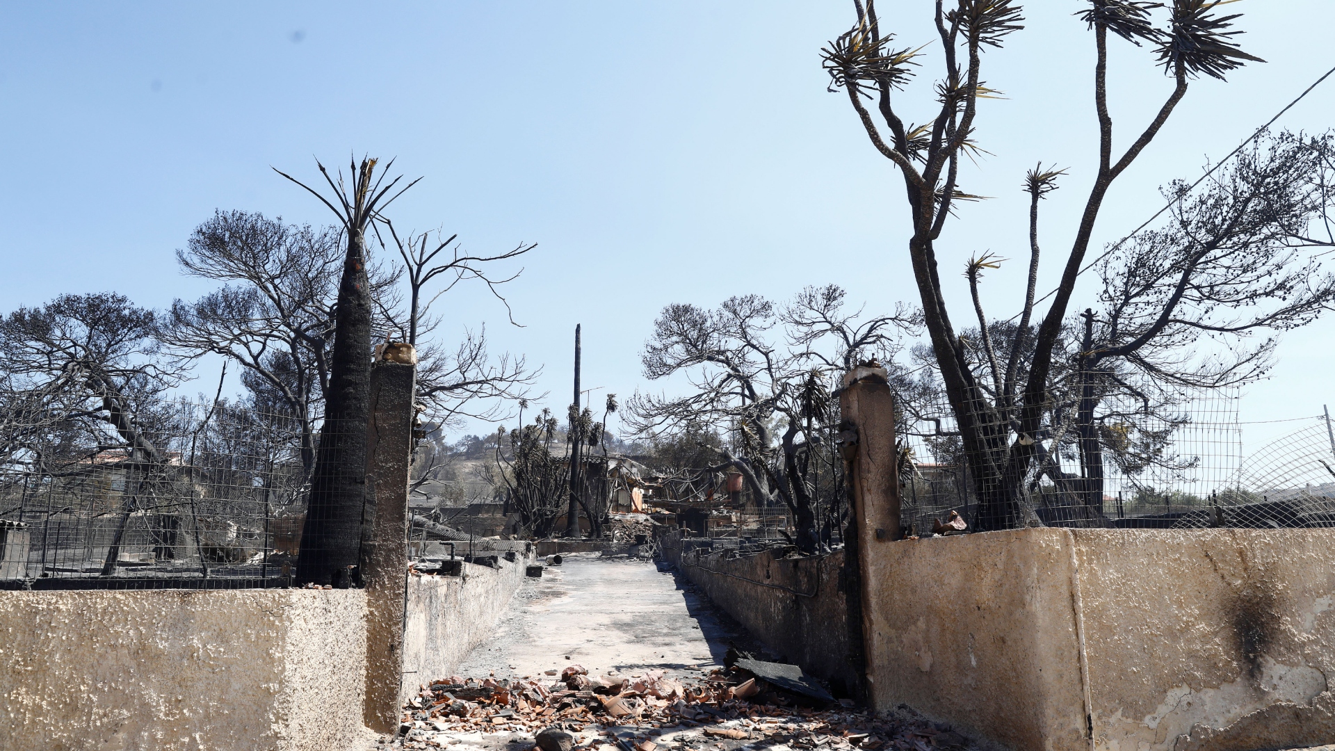 Φωτιά στην Ανατολική Αττική: Στάχτη χιλιάδες στρέμματα – Μάχη με τις αναζωπυρώσεις-4
