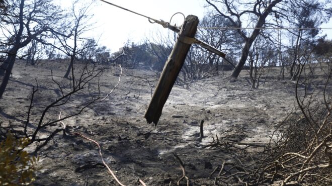 μία-σύλληψη-για-την-φωτιά-στα-μέγαρα-563757931