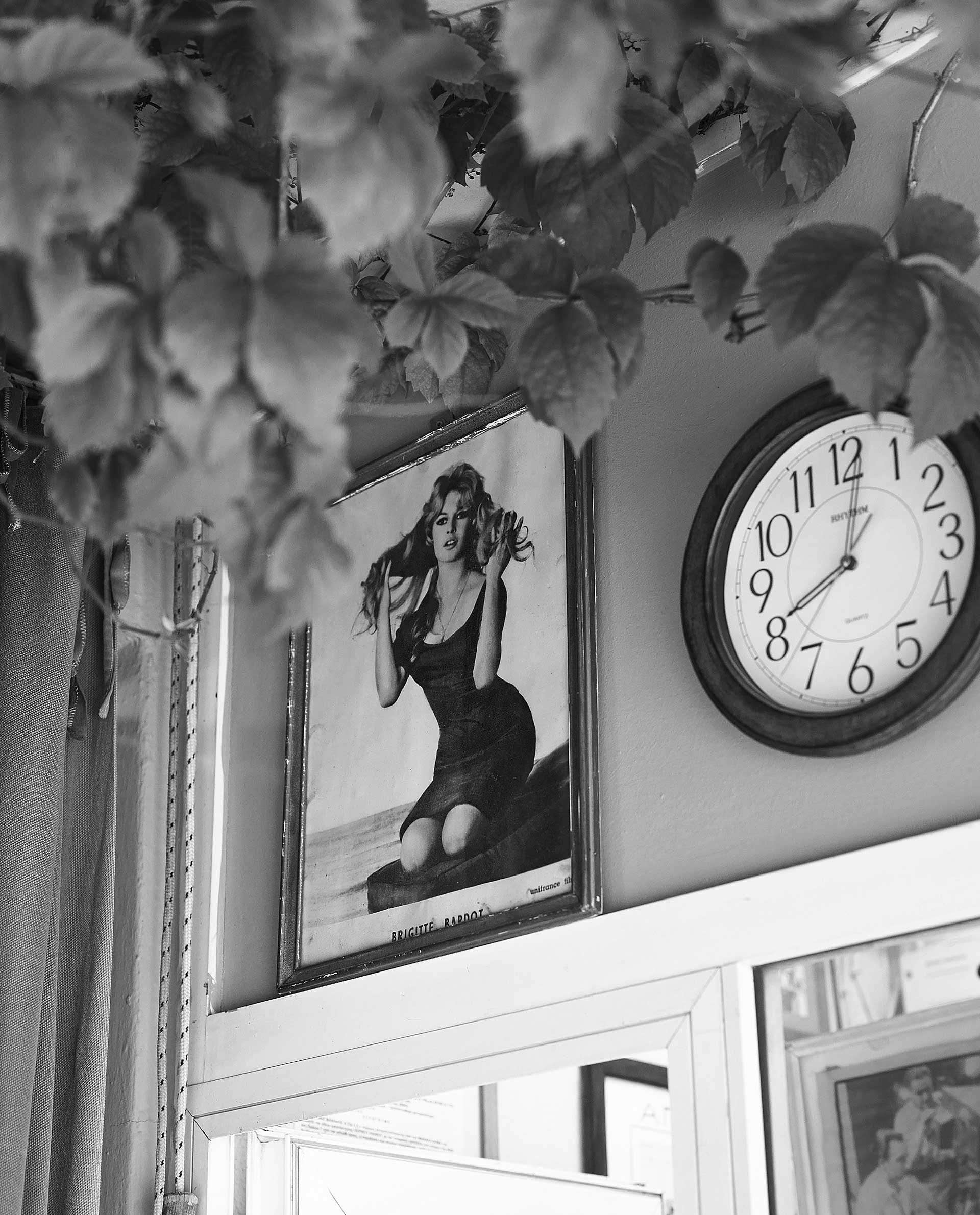 «Κοντινό» στο σινέ Θησείον, το πιο σινεφίλ θερινό της Αθήνας-1