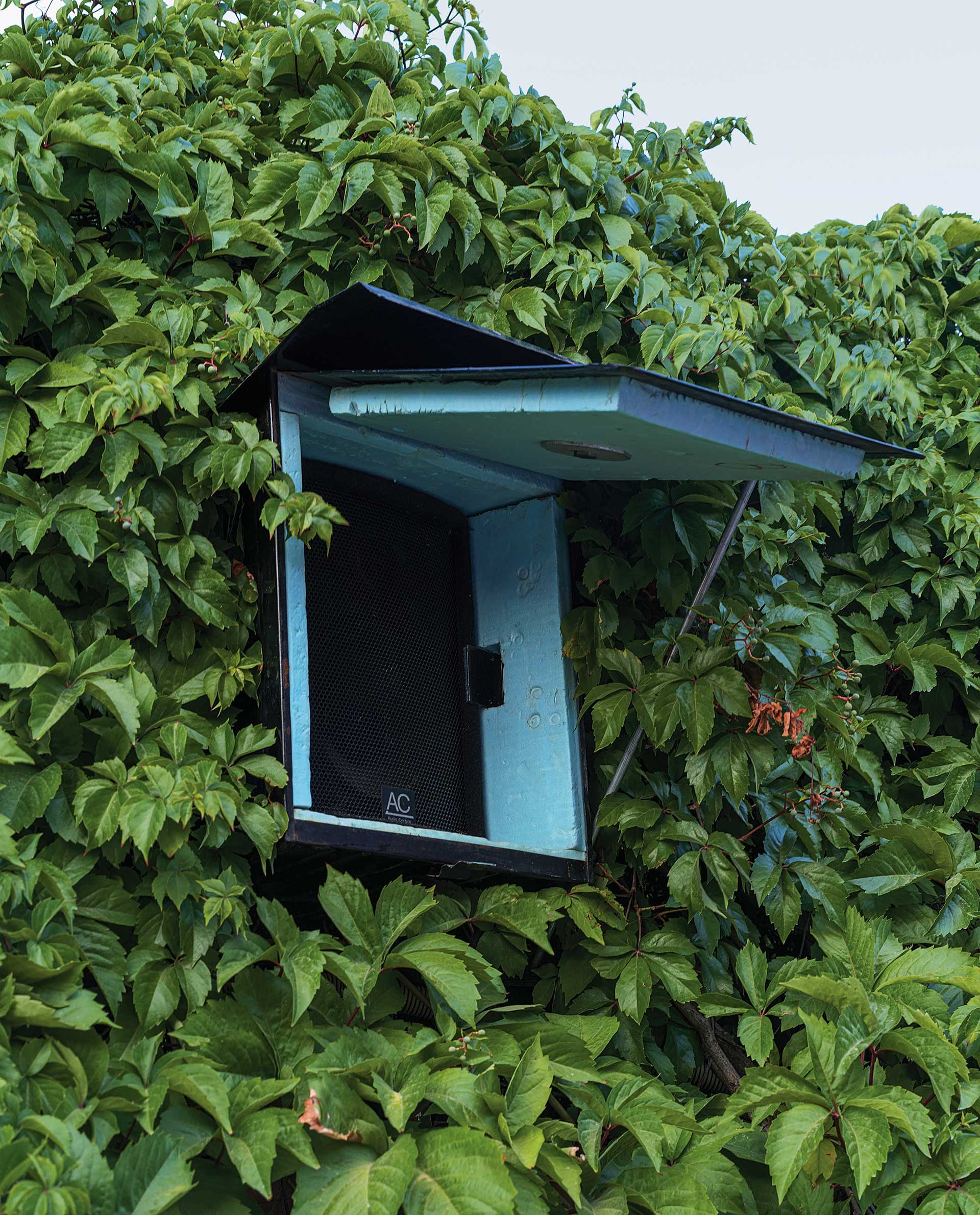 «Κοντινό» στο σινέ Θησείον, το πιο σινεφίλ θερινό της Αθήνας-5