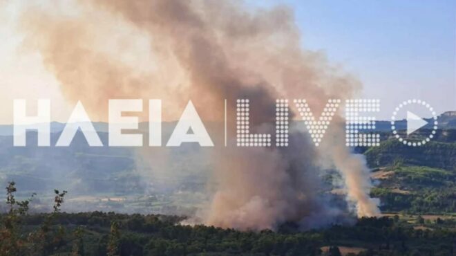 αναζωπυρώθηκε-η-φωτιά-στην-αρχαία-ολυ-563757997