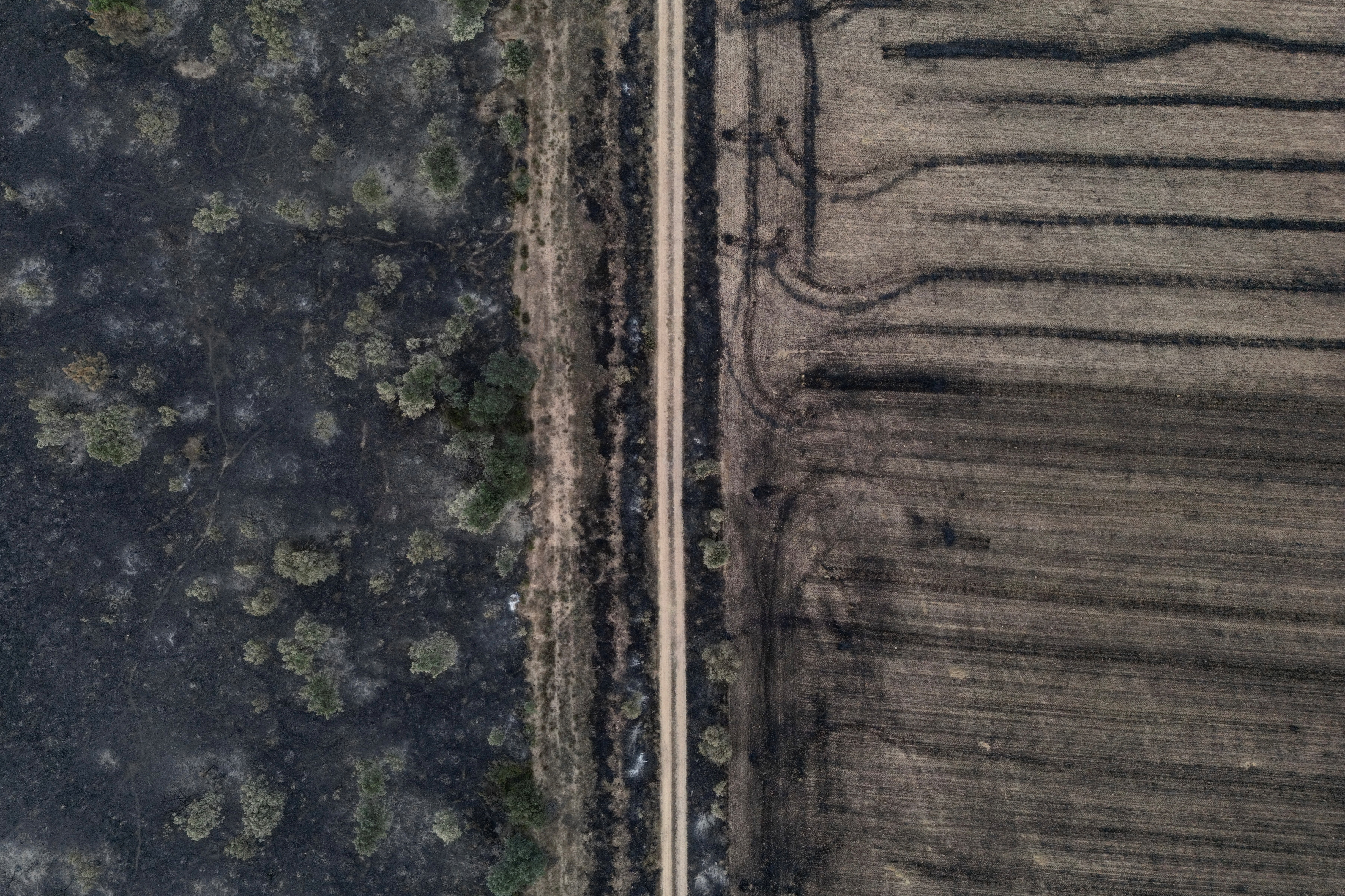 Ισπανία: Πυροσβέστης έχασε τη ζωή του – Εξακολουθούν να μαίνονται οι δασικές πυρκαγιές-2