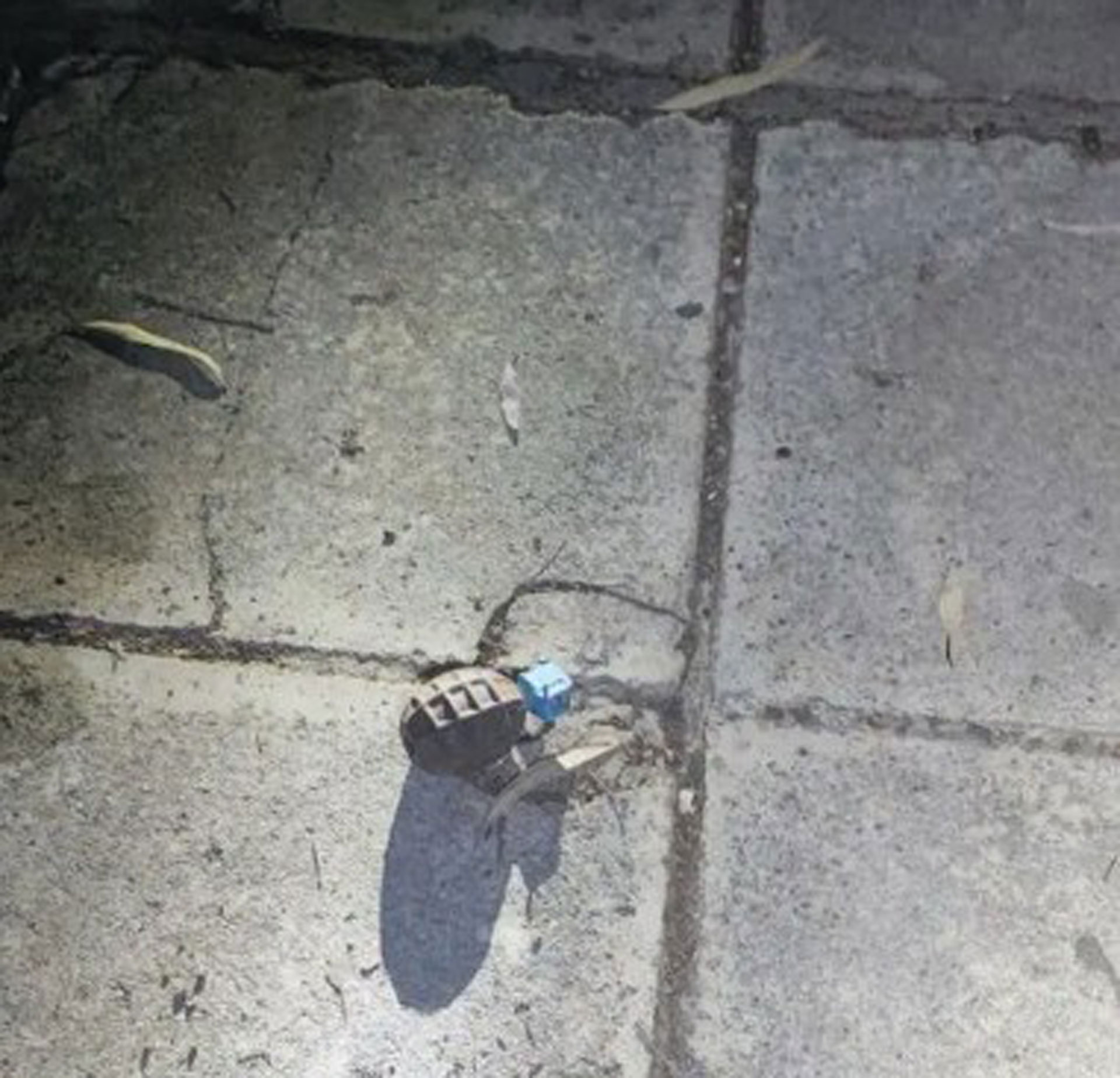 Καισαριανή: Οπλοστάσιο εντοπίστηκε σε κάδο απορριμμάτων-2