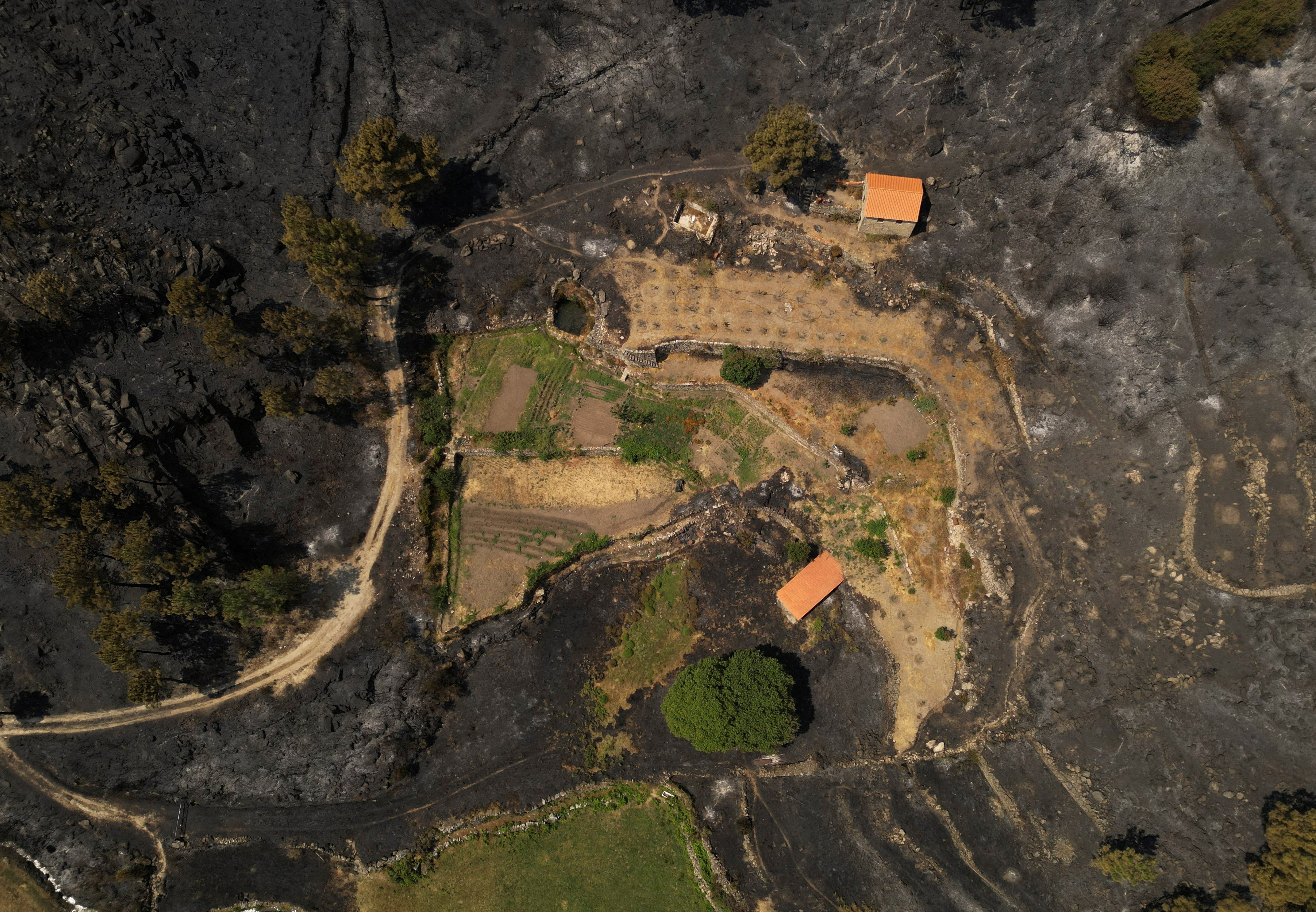 Εσβησε έπειτα από 11 ημέρες η μεγαλύτερη πυρκαγιά που έχει καταγραφεί ποτέ στην Πορτογαλία-2