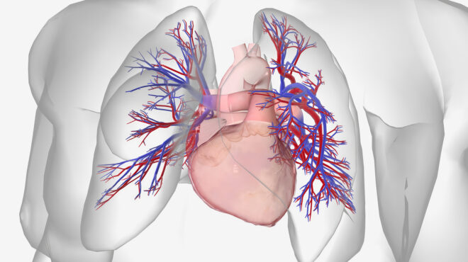 τι-είναι-η-πνευμονική-υπέρταση-563782498