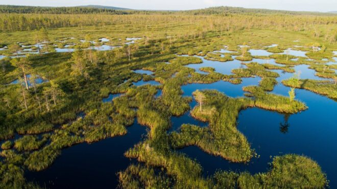 μπορεί-η-ε-ε-να-σταματήσει-τον-πούτιν-ξ-563780509