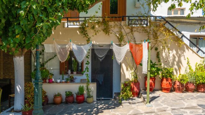 oταν-οι-ρίζες-επιστρέφουν-οι-αυλές-των-563764183