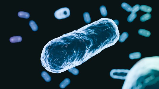 η-α-ι-έγραψε-τη-συνταγή-για-δύο-νέα-αν-563764543