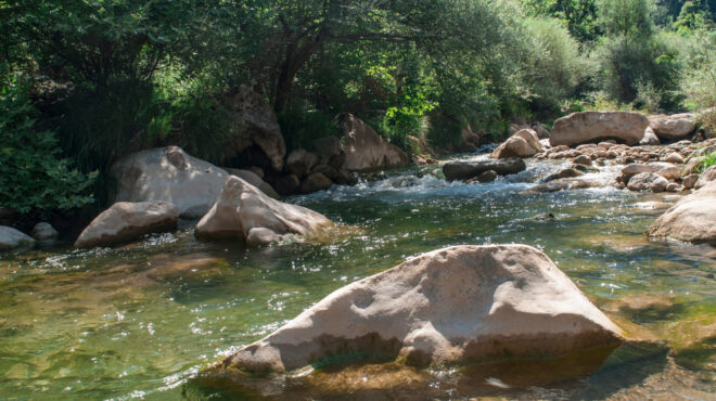 ηλεία-επιχείρηση-διάσωσης-πεζοπόρου-563767534