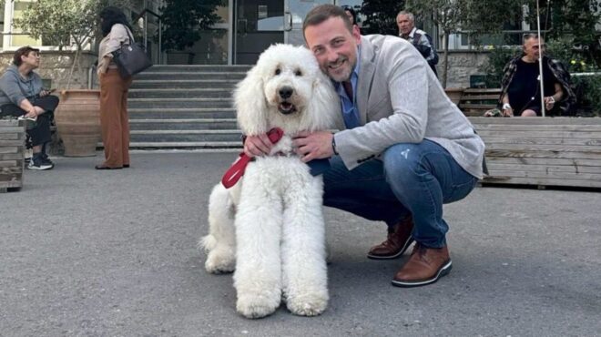 νοσοκομείο-μεταξά-σκύλοι-θεραπείας-σ-563772613