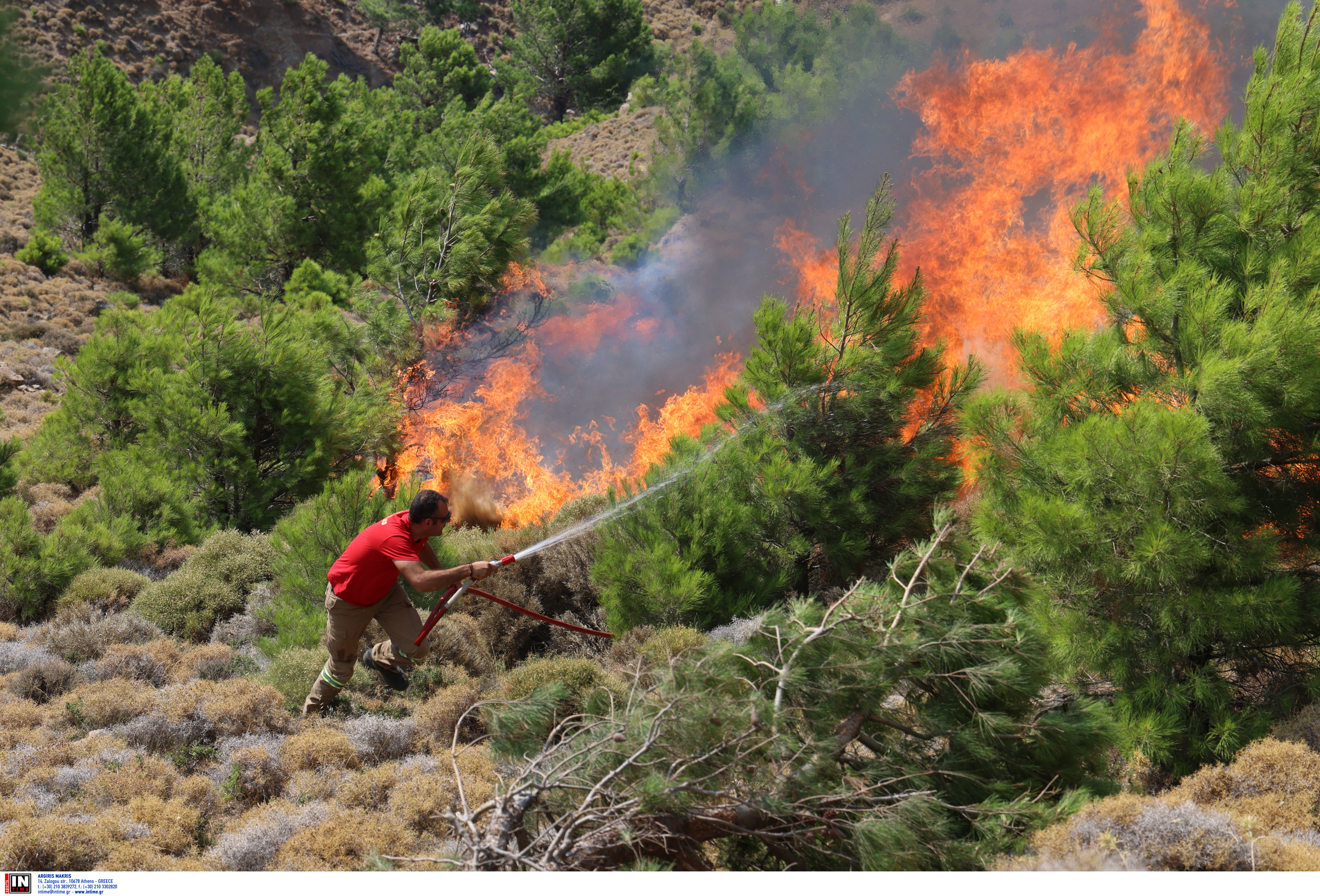 Μάχη με τις φλόγες για δεύτερο 24ωρο σε Αχαΐα και Χίο – Πού «βλέπουν» εμπρησμό οι Αρχές-6