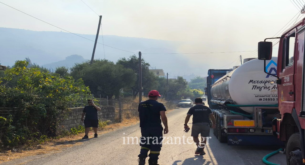 Μάχη με τις φλόγες για δεύτερο 24ωρο σε Αχαΐα και Χίο – Πού «βλέπουν» εμπρησμό οι Αρχές-8