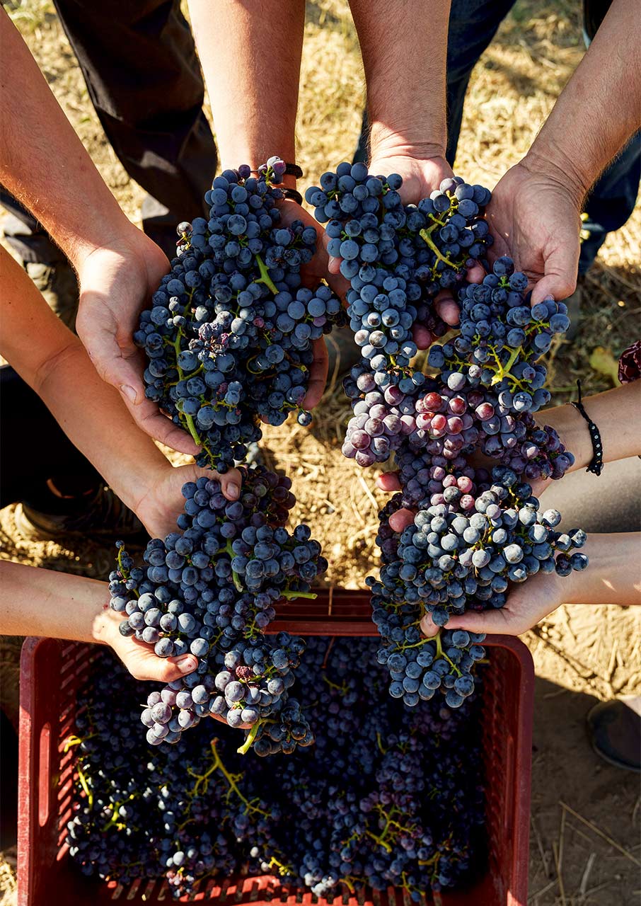 Στην «άγνωστη» Γουμένισσα, για καλό κρασί και χάλκινα-2