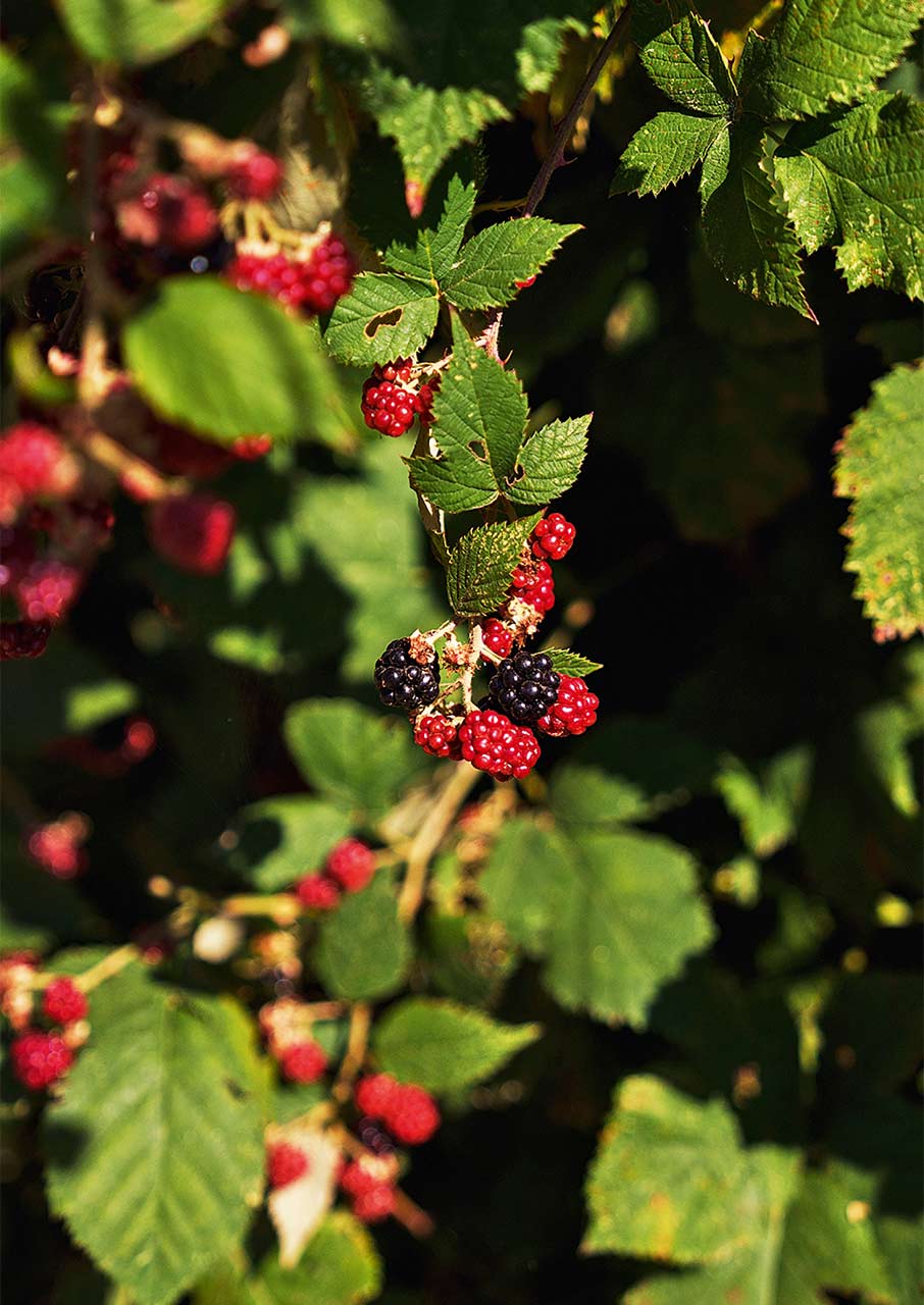 Στην «άγνωστη» Γουμένισσα, για καλό κρασί και χάλκινα-8