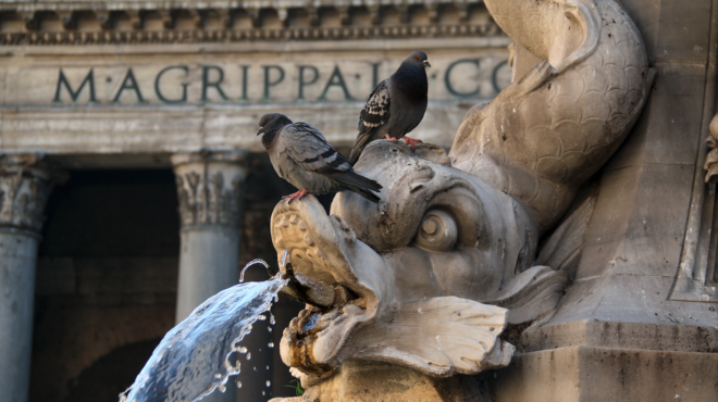 ο-δήμος-της-ρώμης-απαγόρευσε-σε-γυναίκ-563809813